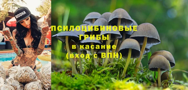 spice Алексеевка